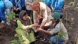 Gelar Taufik Kusumawardhana (kanan) dan Chye Retty Isnendes (kiri) sedang menanam pohon - (Sumber: Gelar)
