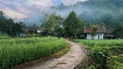 Pagi di Cisewu