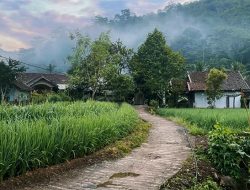 Pagi di Cisewu